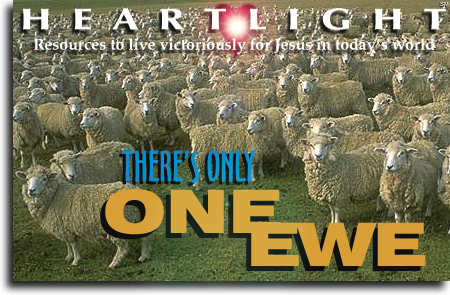 There's Only One Ewe